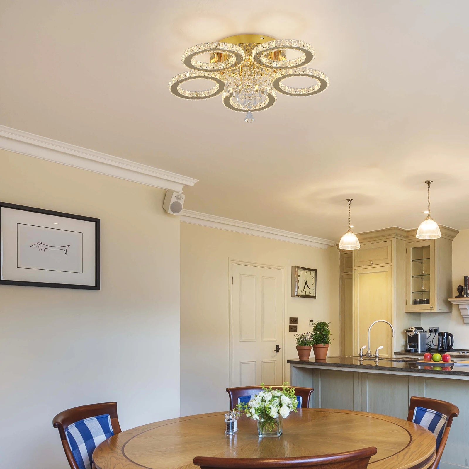 LED Ceiling Light Modern
