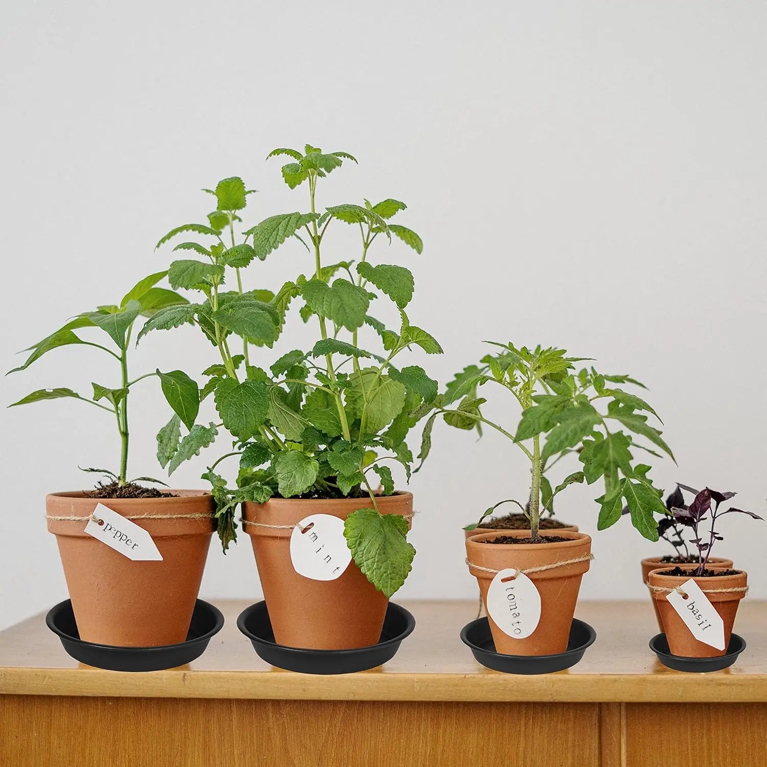 6 Pack Plastic Plant Saucer Drip Tray