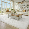 Shag Area Rug